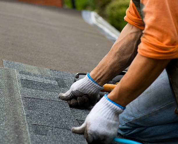 Best Roof Gutter Cleaning  in Amesti, CA
